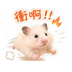 小地瓜的日常生活