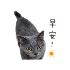 麟麟1