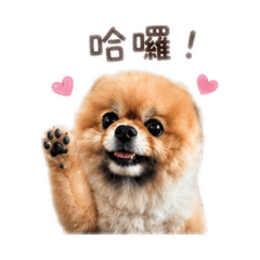 QQ的可愛日常♡