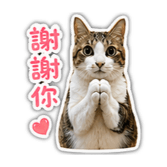 玉米的日常生活（禮貌可愛版）