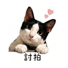 AhMimimi