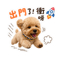 可愛的瑪卡