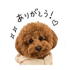 naachan89_20260428185351