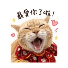 汁芝的寶包