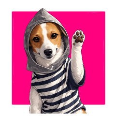 Energetic dog - Jack Russell Terrier