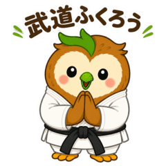 Budo Owl Revised