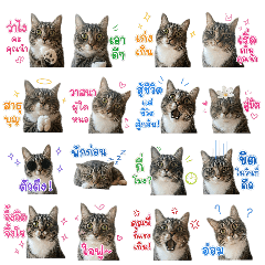 Meow Niew & Khao Family