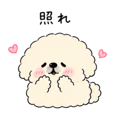 Fluffy Blob Pekingese'