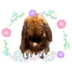 Megumi_1204