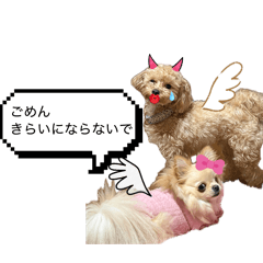 Kuribo_parupa