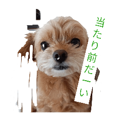 ritoyu_20260502220112