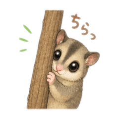 m-arinko_20260502221023