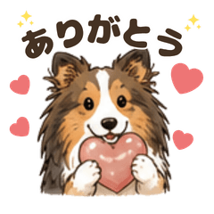 Everyday Stickers for Sheltie Owners!