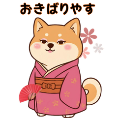 Hannari Kyoto Shiba