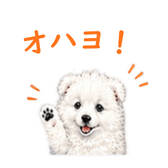 Lucky the Pup | Friends & Family Sticker