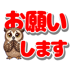 Big Text! Daily Cute Owl