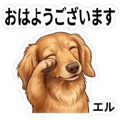 Message from L Stickers Vol.1