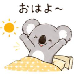 A Day in the Life of a Koala.