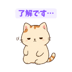 Salty Cat 9: Dry & Lazy Mood