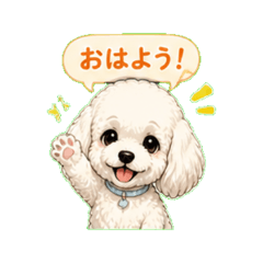 White Poodle Daily Stickers
