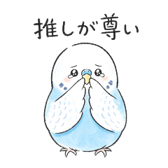Cute Budgies: Fan Life Edition
