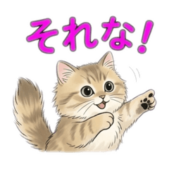 Sydel the Kitten: 40 Daily Stickers!