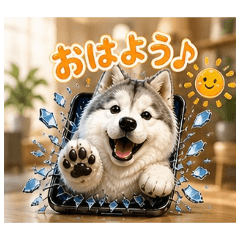 TaCtO_20260503051913