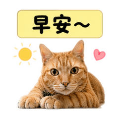 可愛橘貓島灰｜日常對話