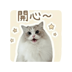 miQ&miru