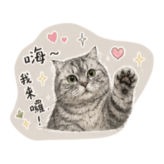 小胖女王的活力招呼
