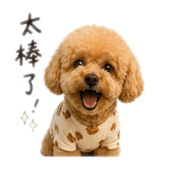嗨啾and弟弟