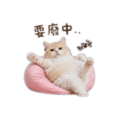 呼嚕寶寶