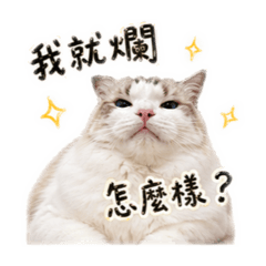 錢多寶寶的厭世日常