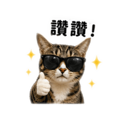 小虎(虎斑貓）