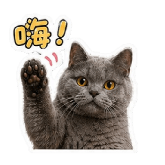 Fu.fu 與他的小夥伴