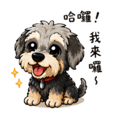 Lulu的居家生活