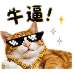 肥橘 蛋蛋貓