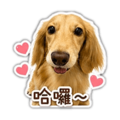 發大財1.0