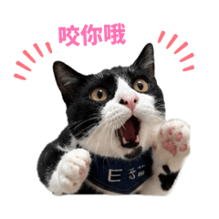 芬達飯糰賣萌