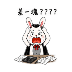 兔子先生・會計人生（崩潰進階版）