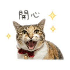 噠咩可愛生活 ◍˃ᵕ˂◍