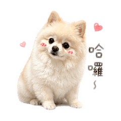 小蛤那