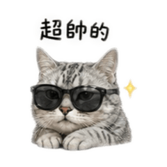 謝奧迪的日常對話ver.3