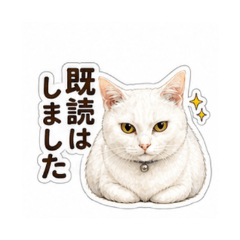 chiroko - Daily Chat Stickers