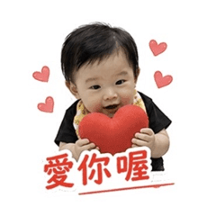 FanFan is so cute