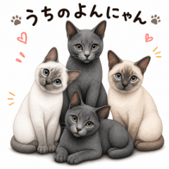 4 Cats at Home