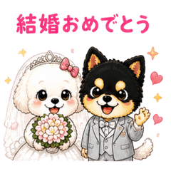 All in One Celebration Dog Stickers
