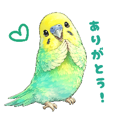 budgie lover_20260503003835