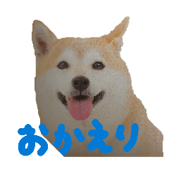 Henokappa!inu