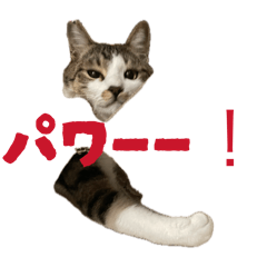 yosimotoya_20260503065004